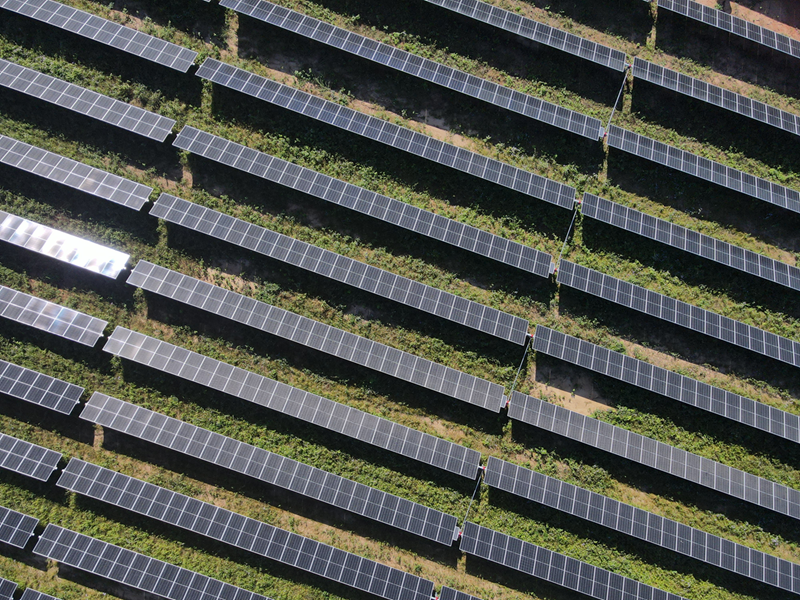 SPIC Brasil conquista Selo Ouro do GHG Protocol pela 5ª vez e apresenta redução de 36% em suas emissões de gases