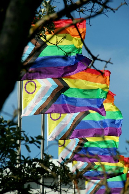 Nest Travel oferece seguro para público LGBTQIAPN+