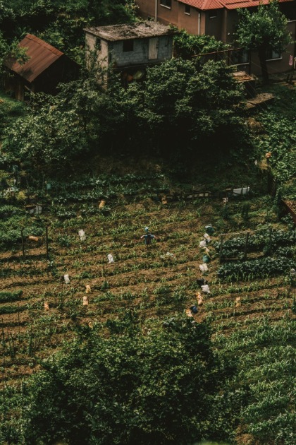 Timbro fortalece unidade de negócios focada em pulses e amplia investimento no agronegócio com nova estrutura no Mato Grosso