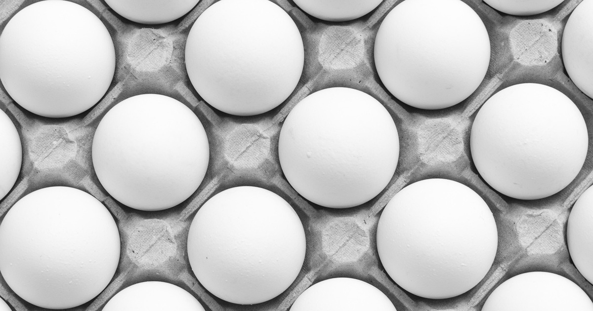 Halipar amplia para 45% a utilização de ovos cage-free em suas redes